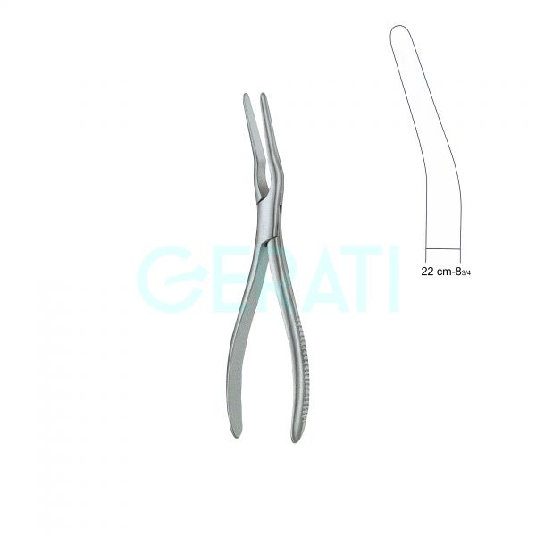 Asch forceps 2024